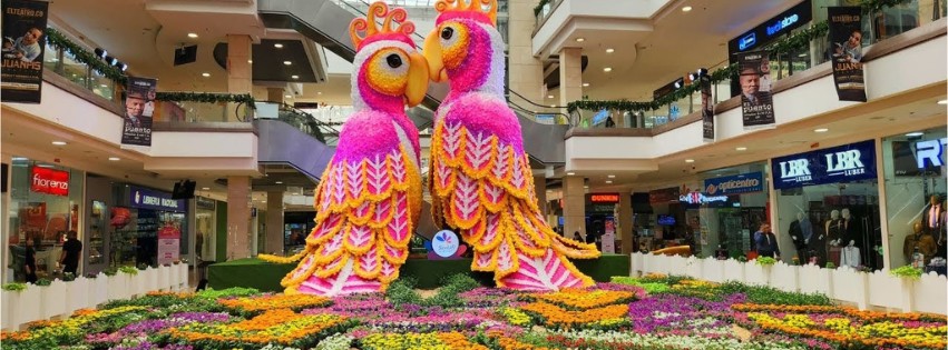 shopping malls santa fe